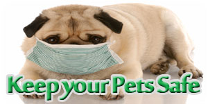 protect-your-kids-and-pets